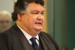 The teen's barrister, Charl Hirschfeld. Photo / Natalie Slade