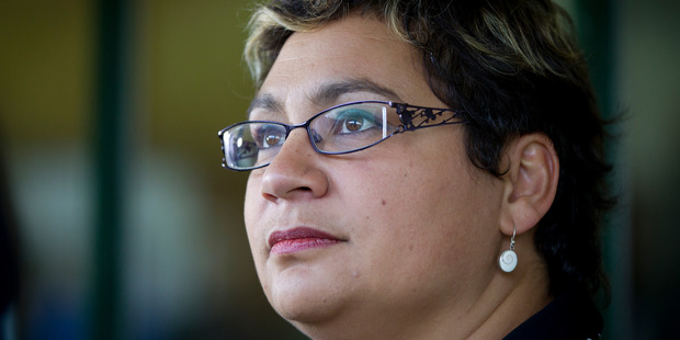 Turei says she believed that was most unlikely to see MPs stranded in the boondocks without being allowed to fly to Wellington to attend Parliament. Photo / Sarah Ivey