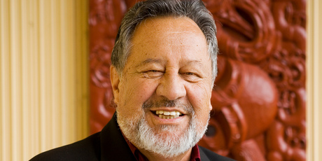 Maori Affairs Minister Pita Sharples tops the table for domestic travel.