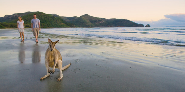 Cape Hillsborough Beach, Queensland.