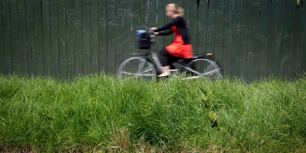 Overgrown berms in Mt Albert which were previously mowed by council contractors. Photo / Sarah Ivey