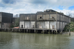 The old Patea freezing works coolstores building the boy fell from.PHOTO/LIN FERGUSON
