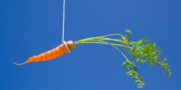 A carrot, or incentive, works only if the lure is achievable - in this case if there are jobs to be had, and people can do them. Photo / Getty Images