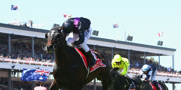 Damien Oliver riding #6 Fiorente wins the Emirates Melbourne Cup during Melbourne Cup Day at Flemington Racecourse. Photo / AP