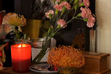 Interior of Fiona Pardington's studio. Photo / Kelly Ana Morey.