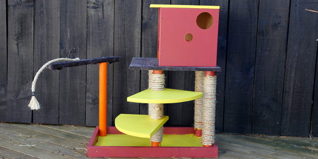 If your pet's turned into a flabby feline, a cat gym could produce a trim, taut and terrific tabby. Photo / Michael Craig
