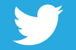 A crucial question for Twitter, as for Facebook, is how deftly the company is able to monetise its platform. Photo / AP