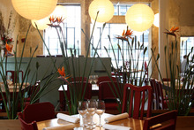Cafe Hanoi. Photo / Natalie Slade