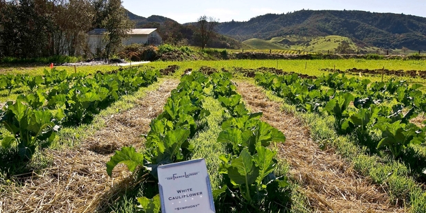 The three-star Michelin rated French Laundry in Napa Valley produces much of its own produce.