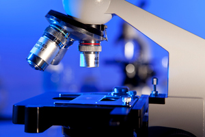 The team of scientists believe the findings may help with the search for life on other planets. Photo / Thinkstock