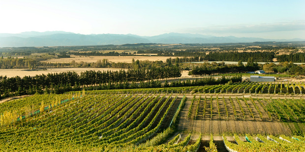 Winemaking in Martinborough. Photo / Supplied.