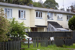 State housing in the Auckland suburb of Sandringham. Photo / NZ Herald