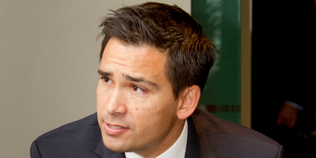 Minister Simon Bridges said the properties were in his Super fund for genuine investment reasons. Photo / Glenn Taylor