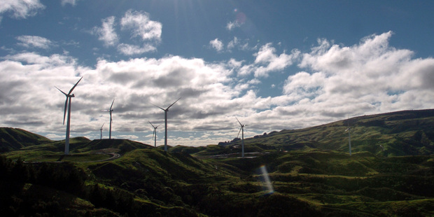 Photo / NZ Herald