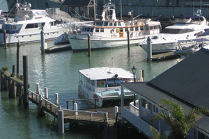 Opua wharf