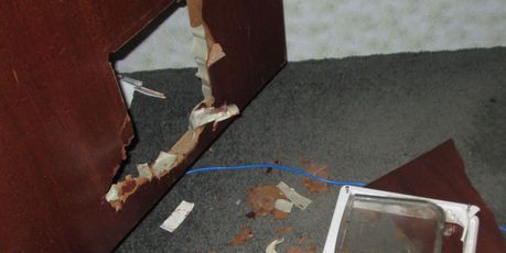 Bruno the dog smashed through two doors on his owners' property, trying to escape the sound of fireworks.