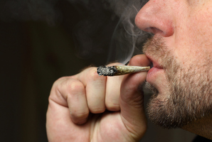 There are millions of cannabis users worldwide.
Photo / Thinkstock