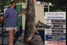 Michelle Goodhew's shark record still stands today. Photo / Mark Mitchell
