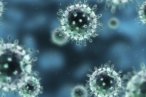 Scientists at the University of Auckland and the Auckland Bioengineering Institute have began a project described as having "enormous" potential well beyond the country's shores. Photo / Thinkstock