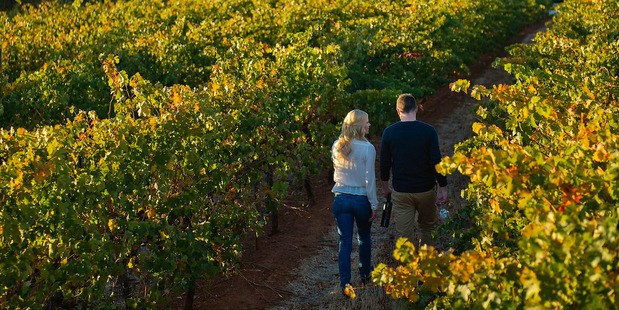 Sevenhill Cellars is still run by Jesuit priests and brothers, who make their wines in the same stone winery and cellars that have been in use for more than 160 years.