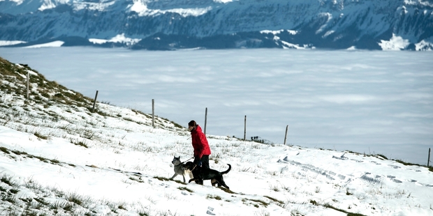 A spate of deaths in the Alps has led to more patrols. Photo / AP