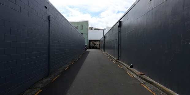 A couple was seriously assaulted along this alley on Butter Factory Lane. Photo/Michael Cunningham.