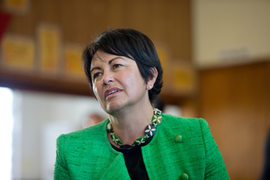 Education Minister Hekia Parata. Photo / David White