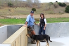 Grant and Christine West built a 600sq m stand-off pad, so cattle won't pug their farm's paddocks. Grant and Christine West built a 600sq m stand-off pad, so cattle won't pug their farm's paddocks.