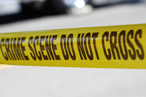 Social media users have reported seeing a body retrieved from the water near Queens Wharf. Photo / File