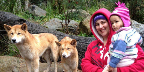 Sarah and Zoe meet Healesville's dingoes. Photo / Ewan McDonald