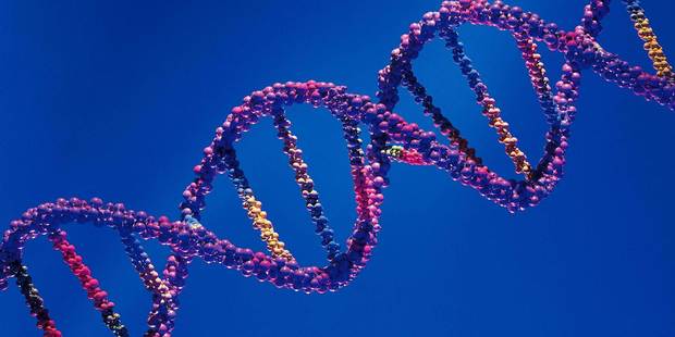 Image / Thinkstock