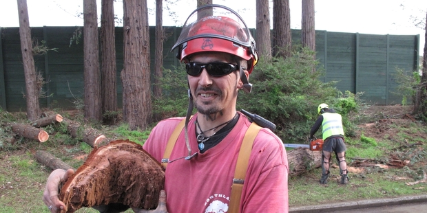 Arborist Greg Robinson with a piece of rotten redwood from a tree felled in 2010.