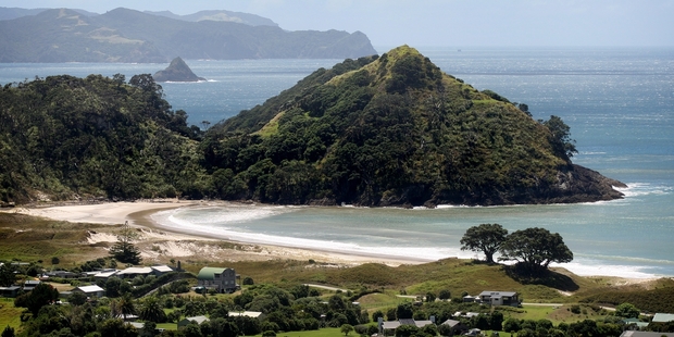 Overlooking Medlands Beach on Great Barrier Island. Photo / Natalie Slade