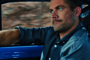 Paul Walker has died at the age of 40. Photo / AP