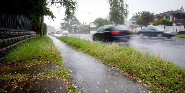 Overgrown berm at corner of Manukau Road and Rewi Road. Photo / Sarah Ivey