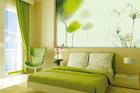 The wise use of props and accessories can bring the colour green into any environment. The wise use of props and accessories can bring the colour green into any environment.