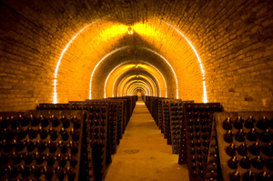 Krug wine cellar. Photo / Supplied.