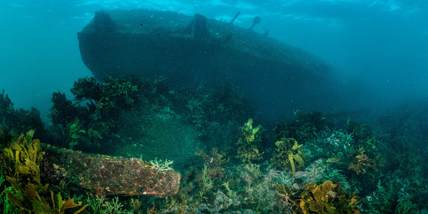 The report found Maritime NZ improved quickly and found a way to cope effectively with the Rena disaster. Photo / APN