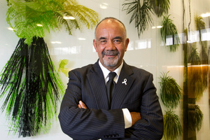 Maori Party co-leader Te Ururoa Flavell. Photo / Mark Mitchell