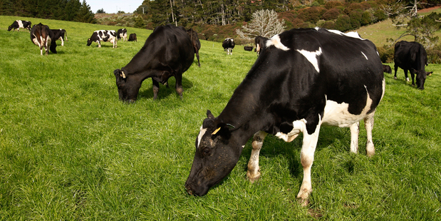 Mr English said the current legislation already included the test Mr Goff was talking about. Photo / NZ Herald