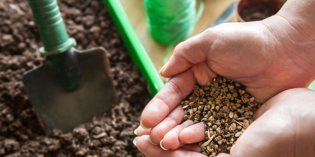 Garden Genie is designed to help people who don't have the knowledge or time, to grow their own produce.