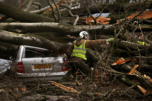 A tree surgeon works to remove a tree, blown down by the wind onto a car, in Davidsons Mains, Edinburgh, Scotland. Photo / AP