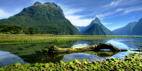 Photo / Thinkstock