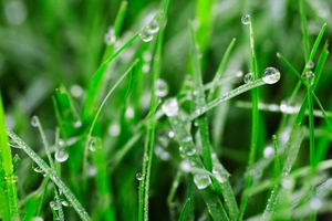 Photo / Thinkstock