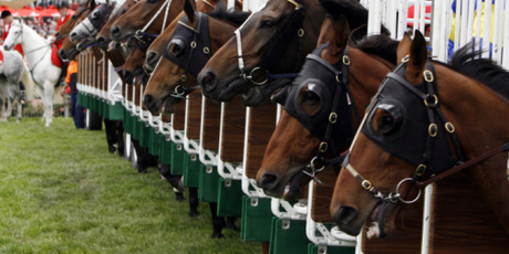 Apart from a slightly slower-than-hoped-for start, the race panned out perfectly for the winner. Photo / Thinkstock