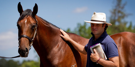 Tom Magnier paid $1,975,000 for the Fastnet Rock-Celebria colt at the Karaka sales yesterday. Photo / Sarah Ivey