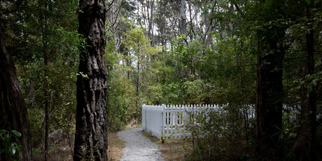 The final resting place for three victims of the Orpheus disaster, a short distance from Cornwallis Beach. Photo / David White