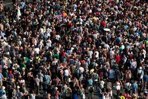 Music lovers unite - it's Laneway time. Photo / Richard Robinson