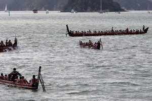 A waka fleet off Ti Beach. Photo / APN