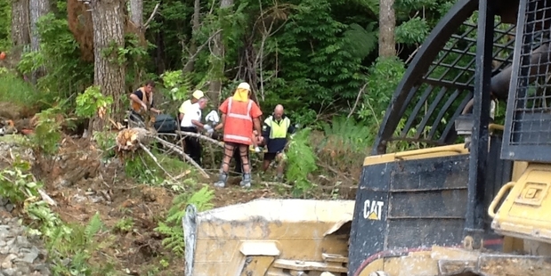 St John paramedics work to free a forestry worker trapped beneath a tree in Kaihu. Photo/Northland Electricity Rescue Helicopter.